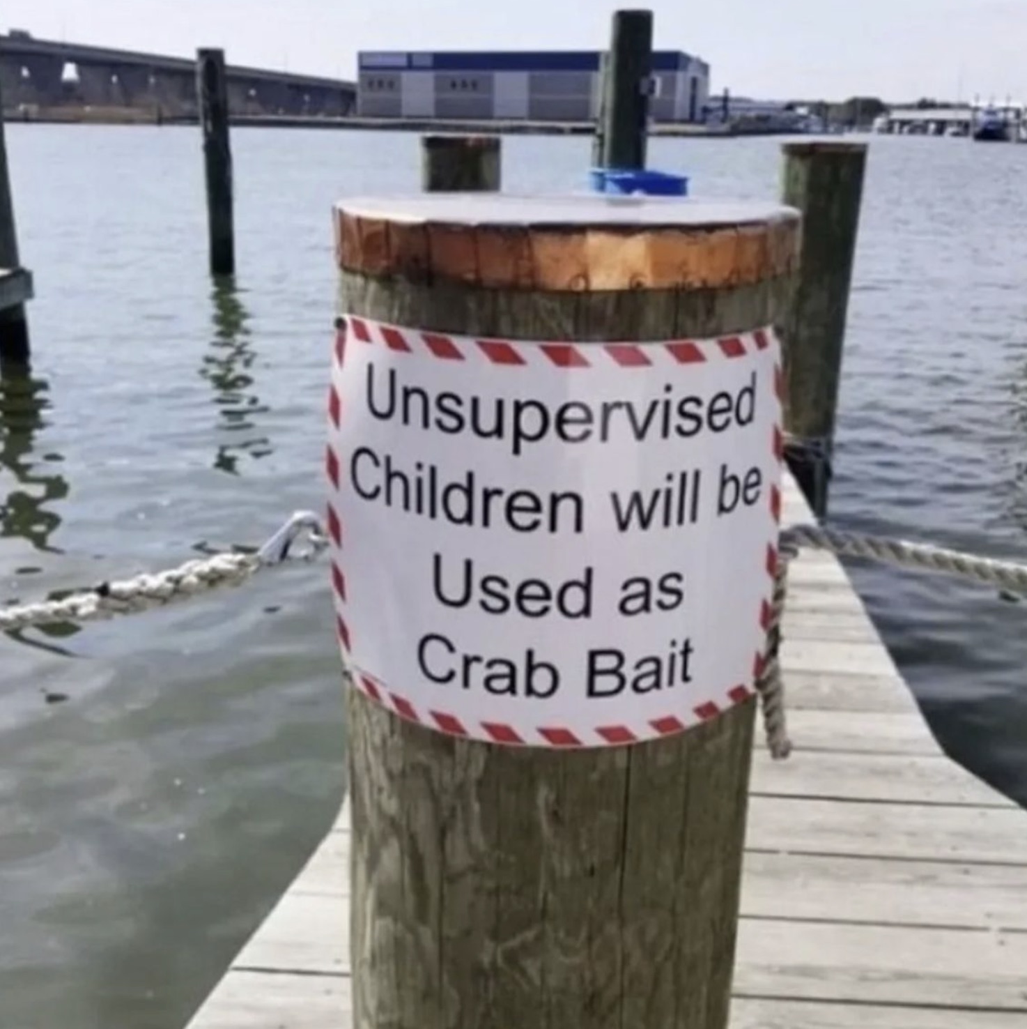 unsupervised children will be crab bait - 439 Unsupervised Children will be Used as Crab Bait